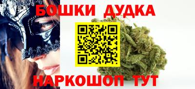 стафф Новодвинск