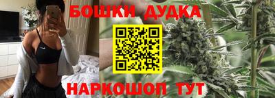 стафф Новозыбков
