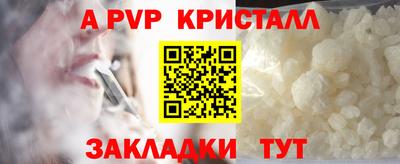 стафф Новозыбков