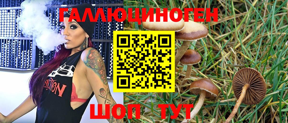 Галлюциногенные грибы Psilocybine cubensis  Вход с VPN  Тольятти 